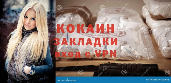 ПСИЛОЦИБИНОВЫЕ ГРИБЫ Арсеньев