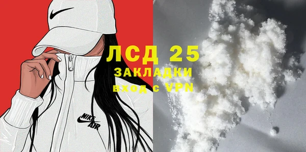 ПСИЛОЦИБИНОВЫЕ ГРИБЫ Арсеньев