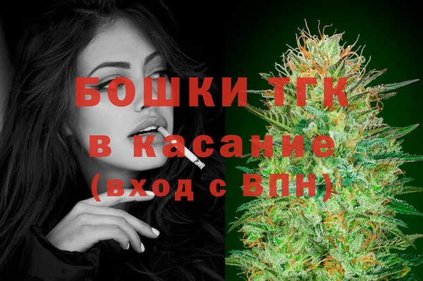 эйфоретик Аркадак