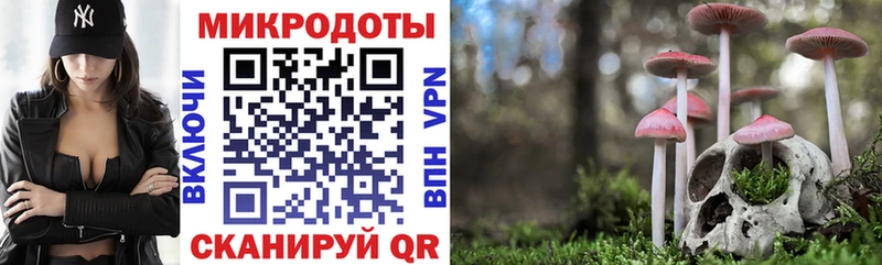 Купить  Сычёвка  Псилоцибиновые грибы мухоморы 